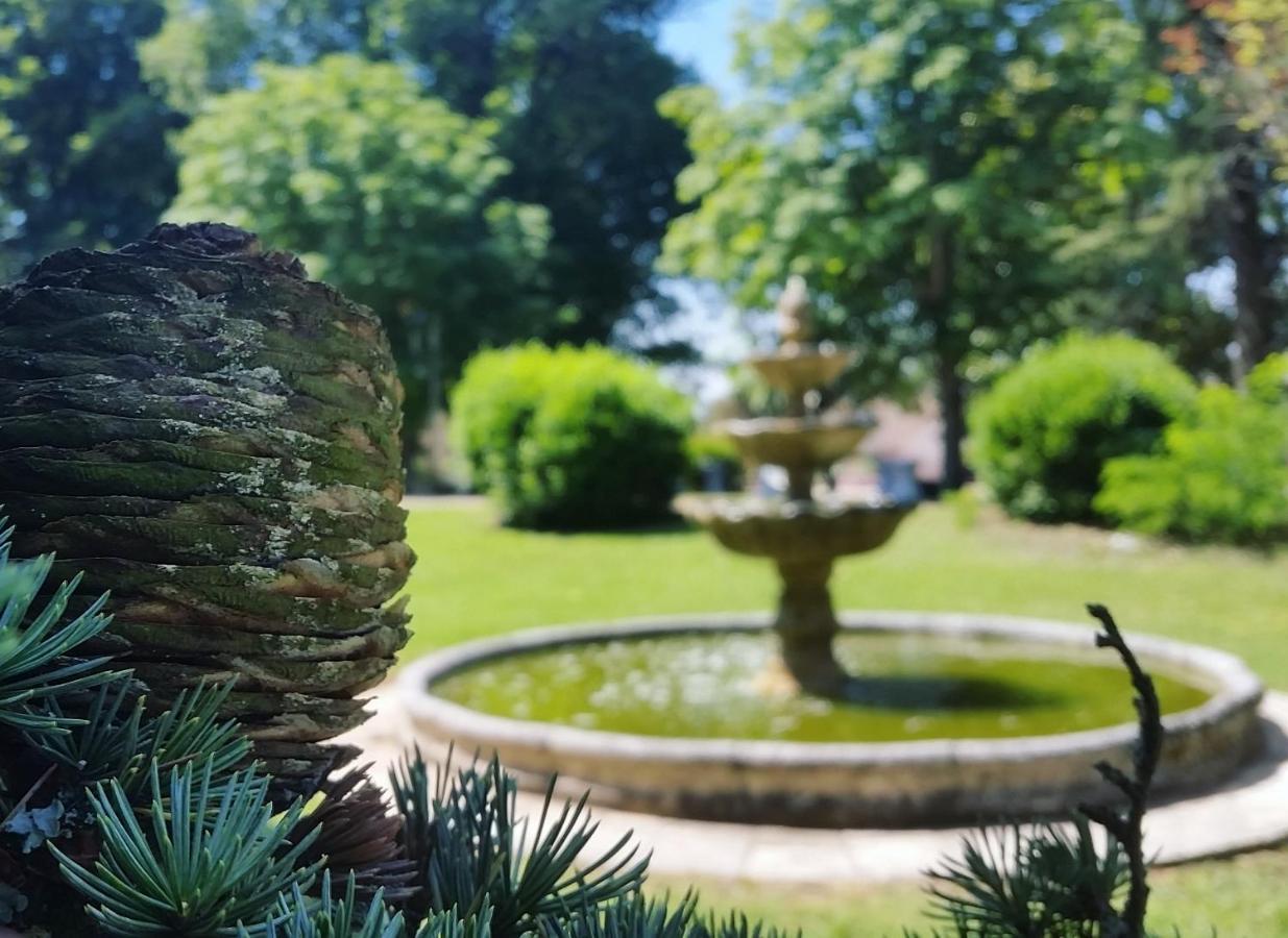 Chateau Marith - Etablissement Climatise Avec Piscine Hotell Clairac  Eksteriør bilde